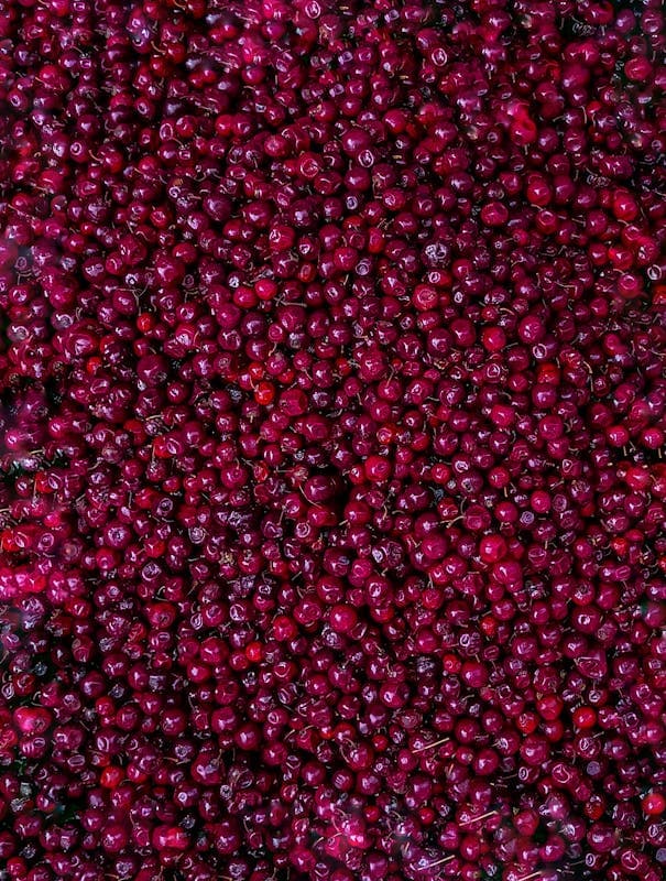 Zakażenie układu moczowego latem: furagina, żurawina i kiedy do lekarza